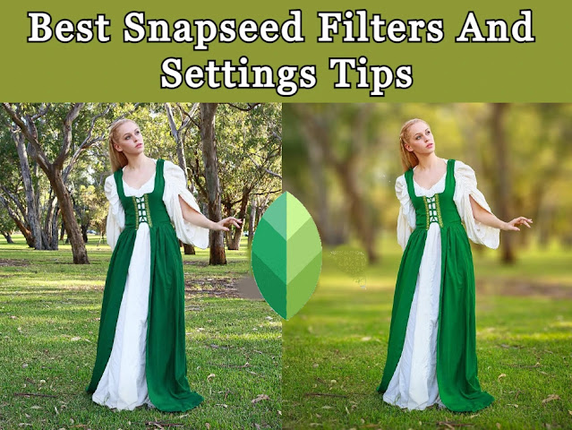 Best Snapseed Filters Download And Settings Tips