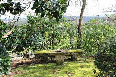 mesa y banco de piedra colocados en gardin