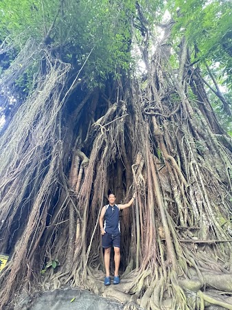 Visiting the Enchanted Balete Tree in Siquijor
