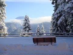 ILGAZ DAĞI VE KASTAMONU TATİLİ - ILGAZ MOUNTAIN AND KASTAMONU CITY HOLIDAY