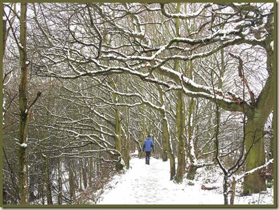 The tree lined path throughCulcheth Linear Park