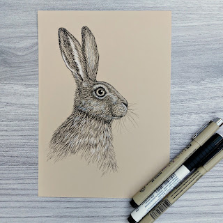 hare drawin in black and white Faber Castell Pitt artist pens on sand toned paper