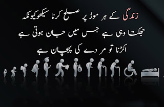 Urdu Quotes About Life