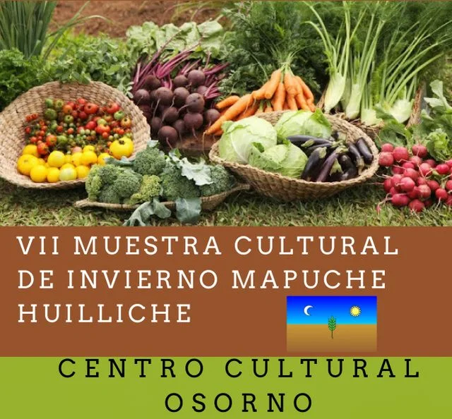 VII Muestra Cultural Mapuche Huilliche  en Osorno