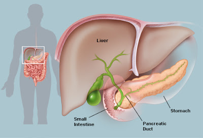 Inflamed Pancreas: symptoms that you need to know