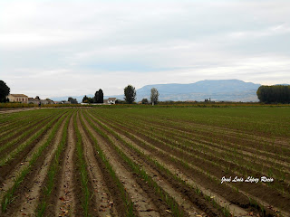 quotes, reflexiones, vida, camino, así es como hago camino, Pinos Puente,  Granada, vega de Granada, , José Luis López Recio, joselop44