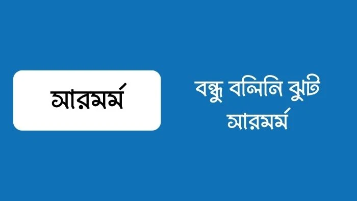 বন্ধু বলিনি ঝুট সারমর্ম