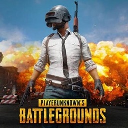 كيفية تشغيل لعبة Pubg Mobile على الكمبيوتر بدون محاكي مجانا