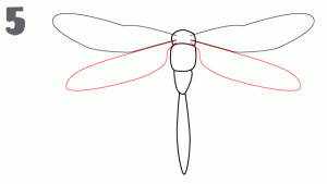 كيفية رسم اليعسوب في خطوط رسم سهلة