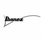 ibanez guitar