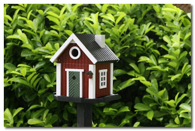 red cottage bird house the french house