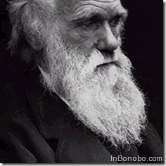 Darwin's Beard