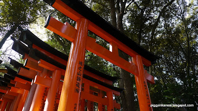 torii gates in fushimi-inari kyoto japan