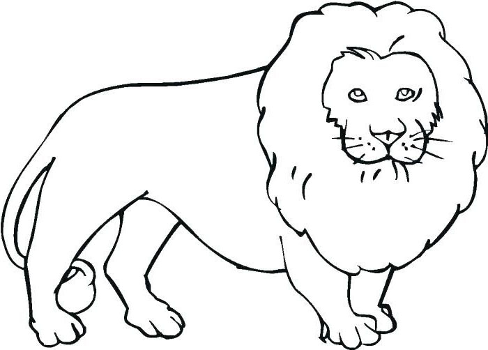 beautiful tiger coloring page