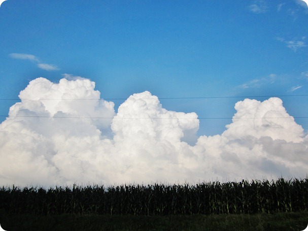 spainish-ish meal, clouds, pincushions 044
