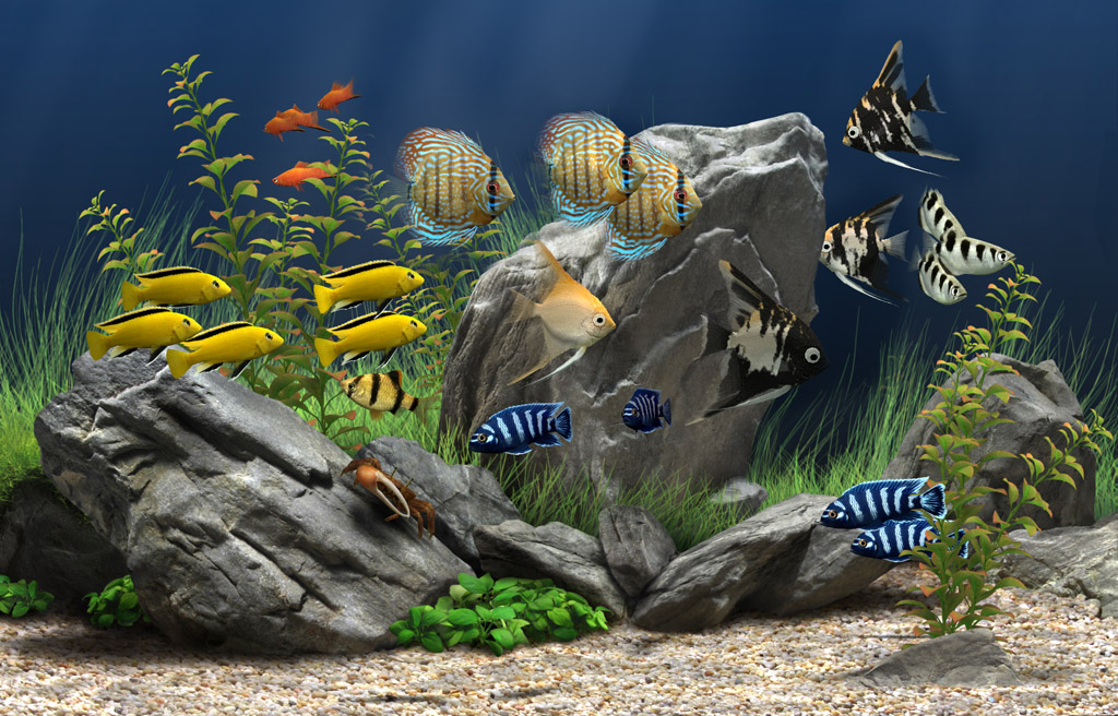 Aquarium Screensaver