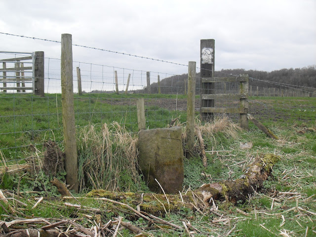 Another view of the location of the Cuerdale Hoard Stone