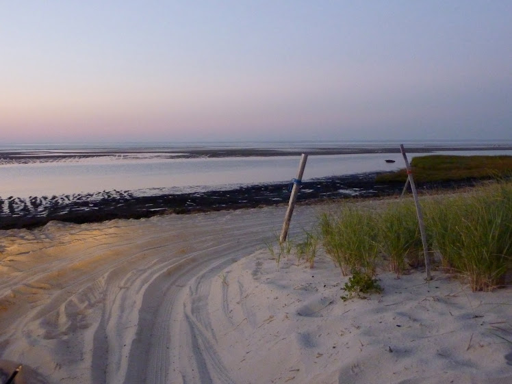 a sandy road