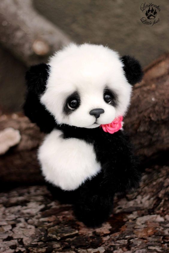 Inspirasi Terpopuler Gambar Panda Keren