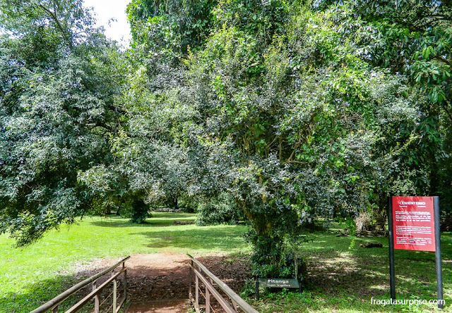 Cemitério da Missão Jesuítica de San Ignacio Miní