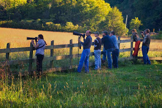 Elk Photographers & Watchers in Boxley Valley, Ponca, AR