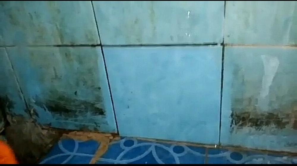 Thoor Pembersih Lantai Kamar Mandi Pembersih Keramik 