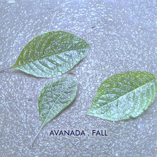 MP3 download Avanada - Fall - Single iTunes plus aac m4a mp3