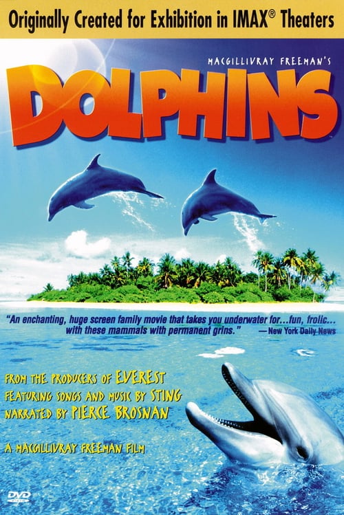 Ver Dolphins 2000 Pelicula Completa En Español Latino