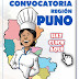 Convocatoria de Becas 2010 - Region Puno - Aprolab II