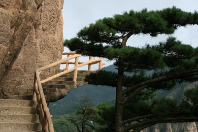 Grand Canyon of the West Sea, Ring 1, Huangshan, China, 2009 (6120)
