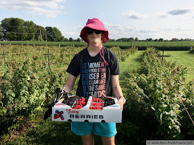 image of a smiling young woman standing in a field carrying a flat of just-picked blackberries and raspberries