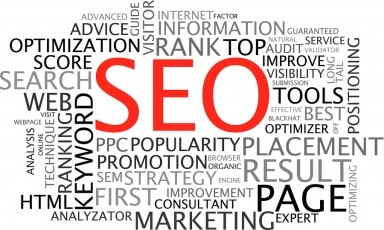 What goes in search engine optimization