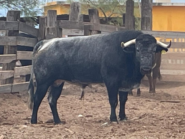 Foto: Cortesía