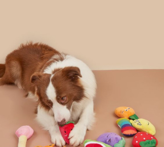 Brinquedos para Pets: Como Garantir Diversão aos Seus Fiéis Companheiros