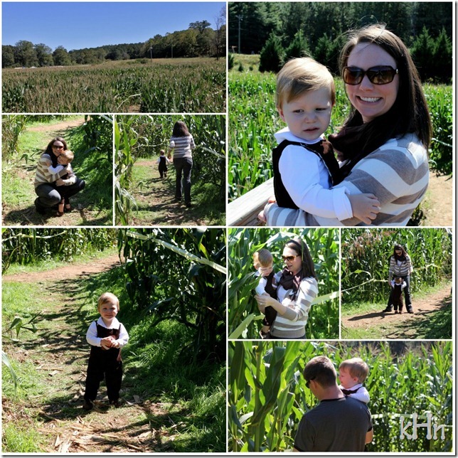 corn5