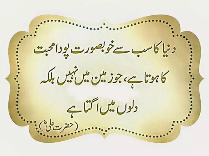 Hazrat Ali Quotes In Urdu Hazrat Ali Quotes In Urdu With Images