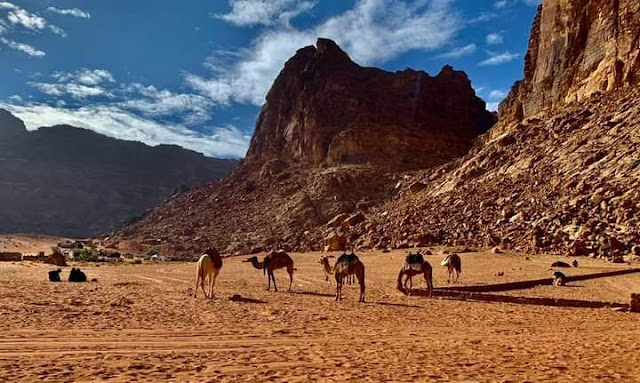 Lawrence spring-wadirum-jeep-tours