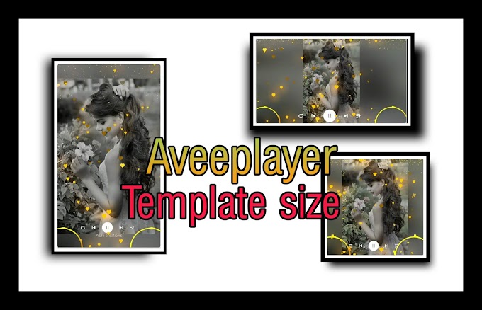 Different video export sizes in aveeplayer