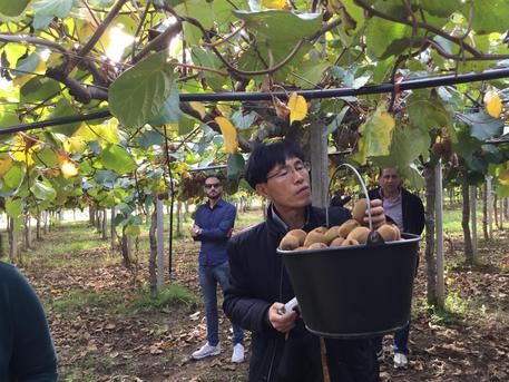 La Corea fa visita alla Basilicata