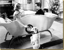 carygrant-480
