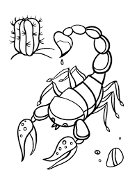 Top 10 scorpion coloring pages for kids