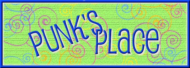 Punk's Place