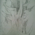 Neighborhood Tree