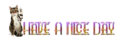 Nice m vinkevink