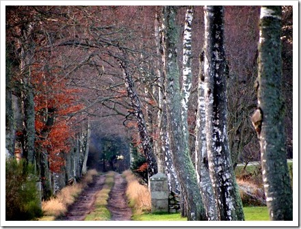14 Jan 1 14-01-2012 16-34-59