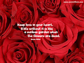 Beautiful Quote Rose Background