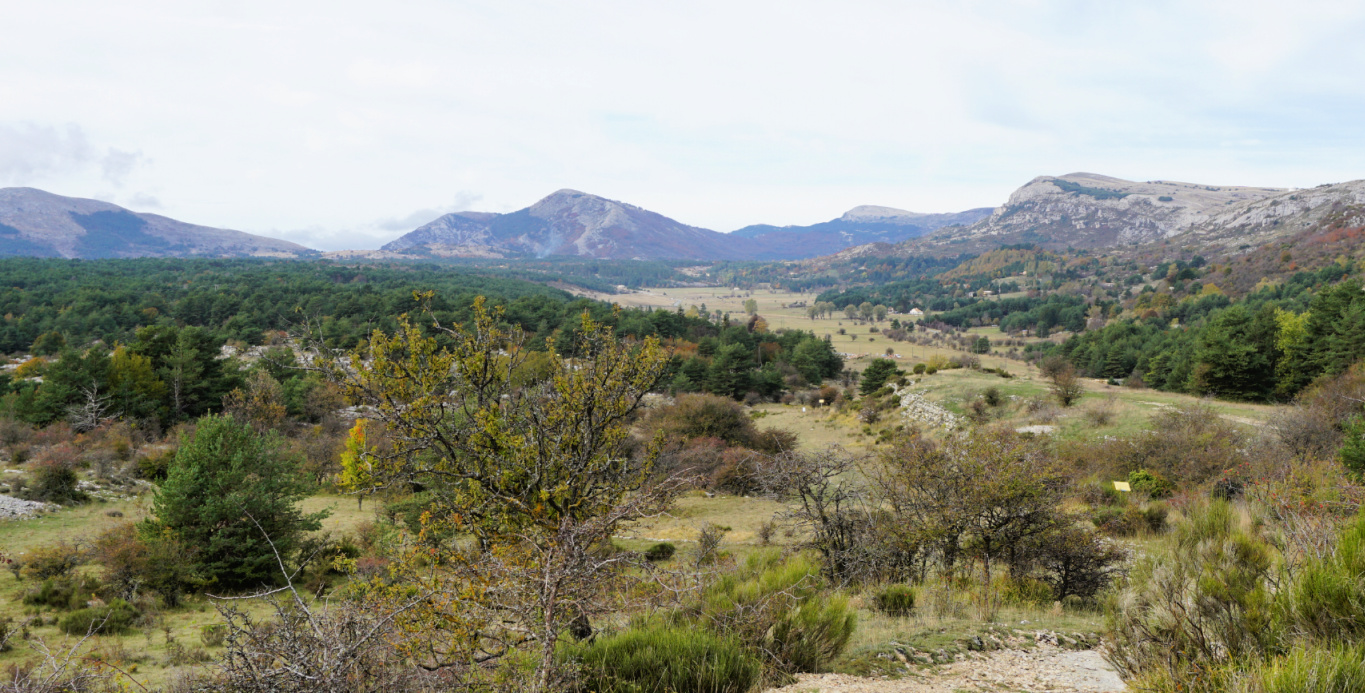 View to West Plateau Caussols