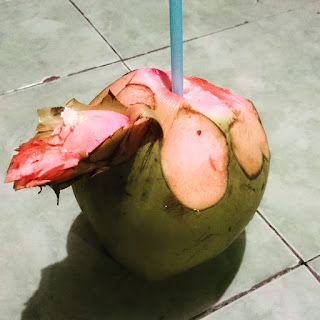 kelapa wulung minuman isotonik