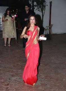 amisha patel hot in saree