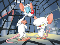 canal pinky y cerebro